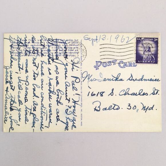 The Golden Shower Tree Florida 1950s Postcard 1962 FL PC Ormond Beach - Picture 2 of 2